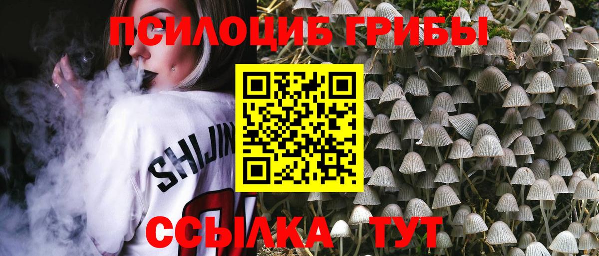 Псилоцибиновые грибы Magic Shrooms Каменка